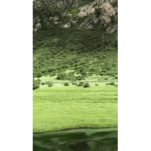 旅行风景6206