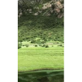 旅行风景6206