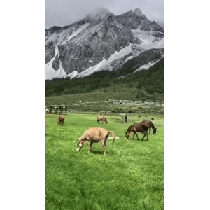 旅行风景6208