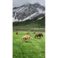 旅行风景6208