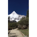 旅行风景6220