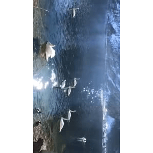 旅行风景6223