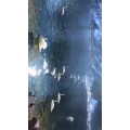 旅行风景6223