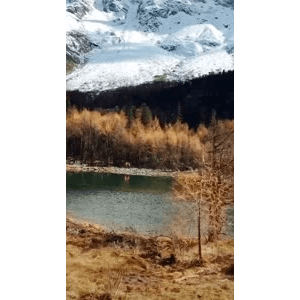 旅行风景6256