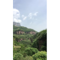 旅行风景6261