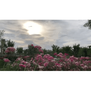 旅行风景6269