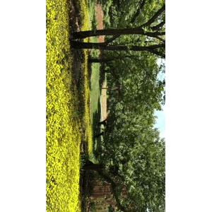 旅行风景6284