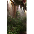 旅行风景6292