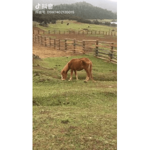 旅行风景6293