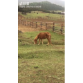 旅行风景6293