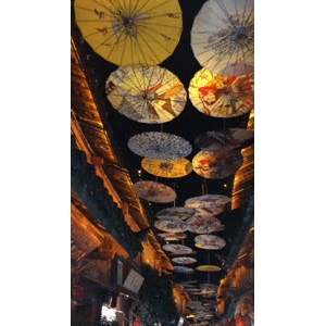 旅行风景6295