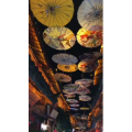 旅行风景6295