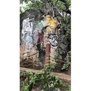 旅行风景6299