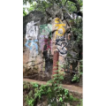 旅行风景6299
