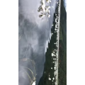 旅行风景6301