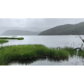 旅行风景6306