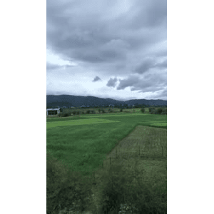 旅行风景6307