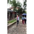 旅行风景6310