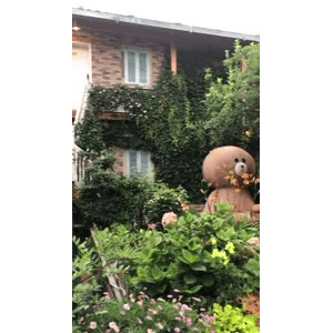 旅行风景6311