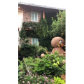 旅行风景6311