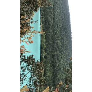 旅行风景6314
