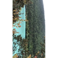旅行风景6314