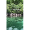 旅行风景6323