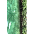 旅行风景6324