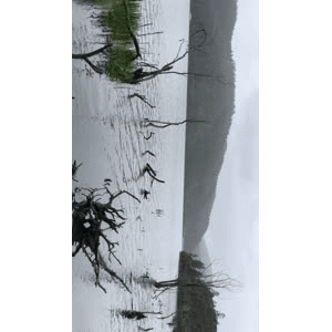 旅行风景6337