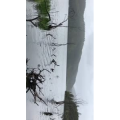 旅行风景6337