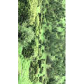 旅行风景6339