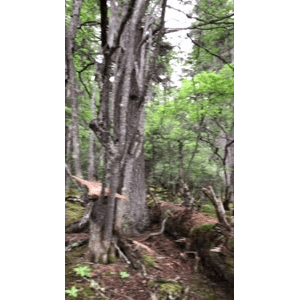 旅行风景6346