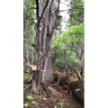 旅行风景6346