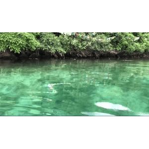 旅行风景6350