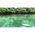 旅行风景6350