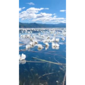 旅行风景6353