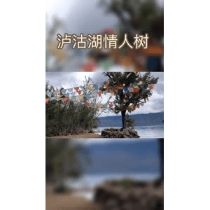旅行风景6365