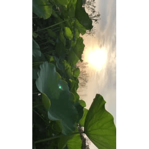 旅行风景6377
