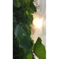 旅行风景6377