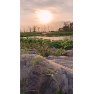 旅行风景6380