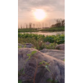 旅行风景6380