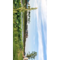 旅行风景6389