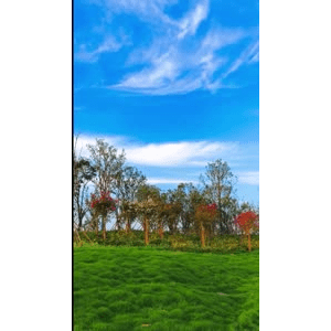 旅行风景6395