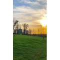 旅行风景6399