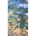 旅行风景6400