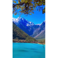 旅行风景6408