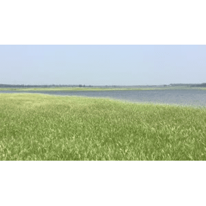 旅行风景6415