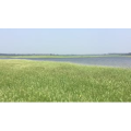 旅行风景6415