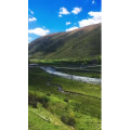 旅行风景6421