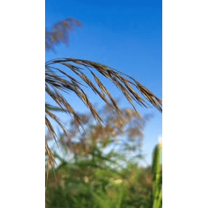 旅行风景6423